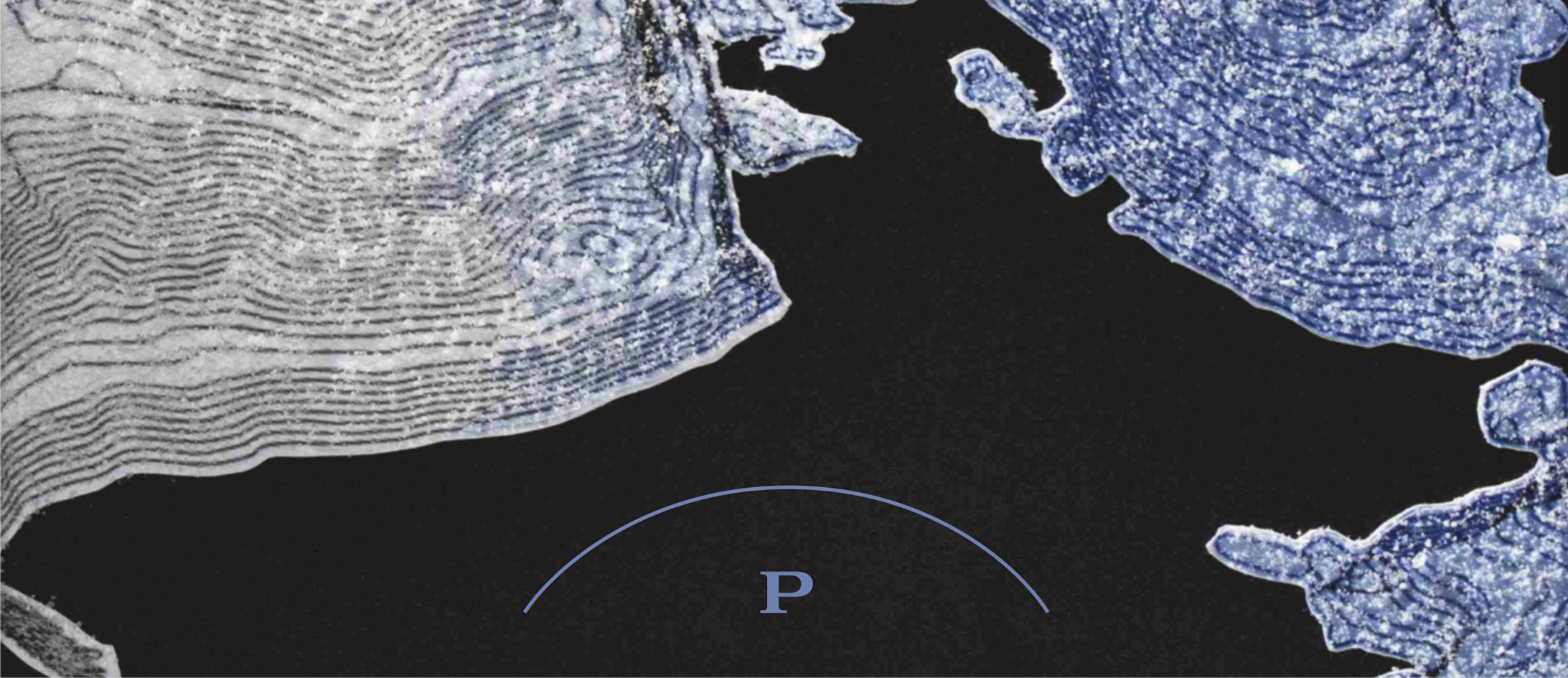 Brand image 1